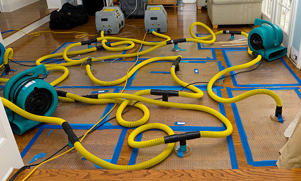 Professional Water Damage Restoration technician working in Edwards, MS